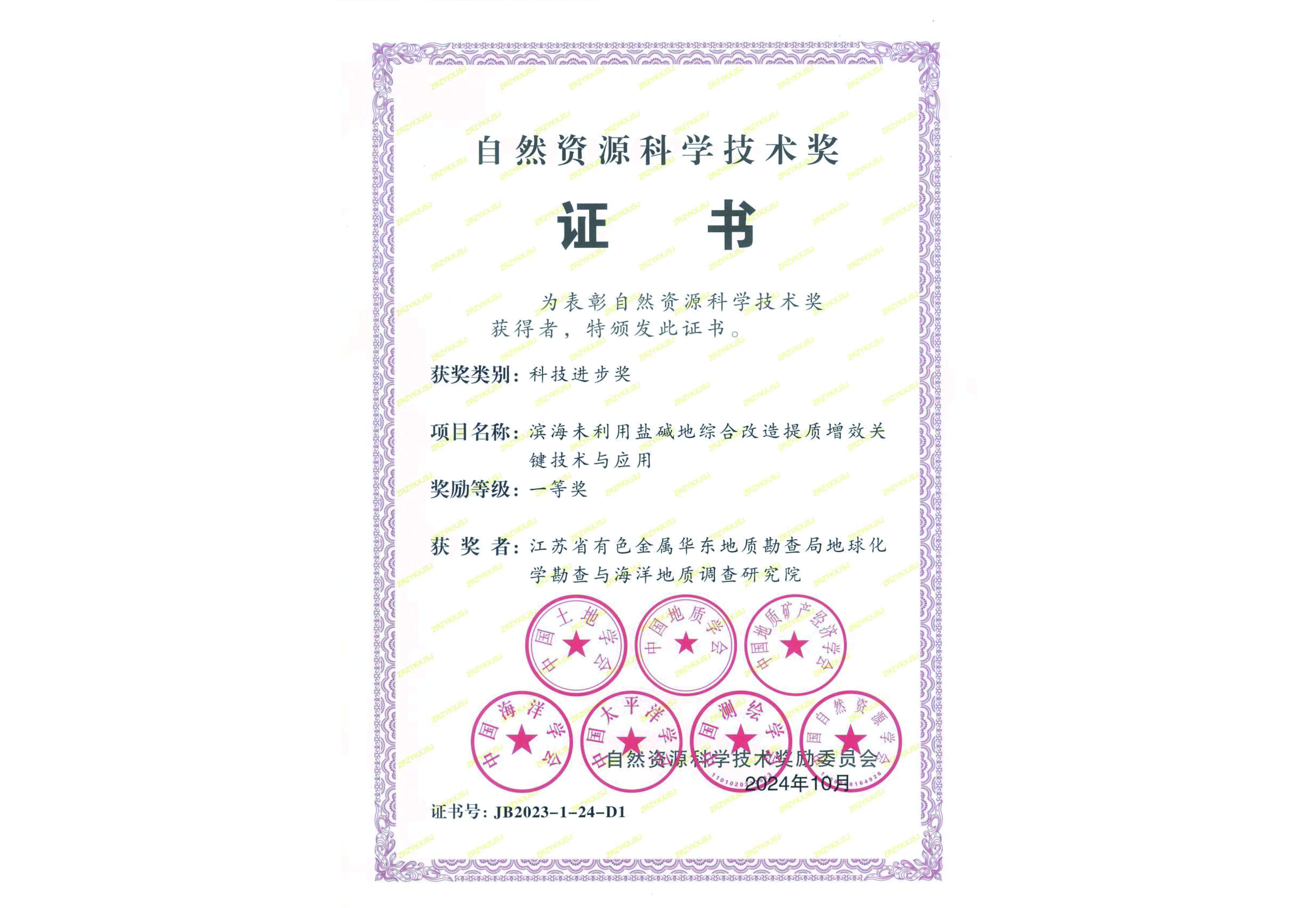 自然资源部科技进步奖一等奖