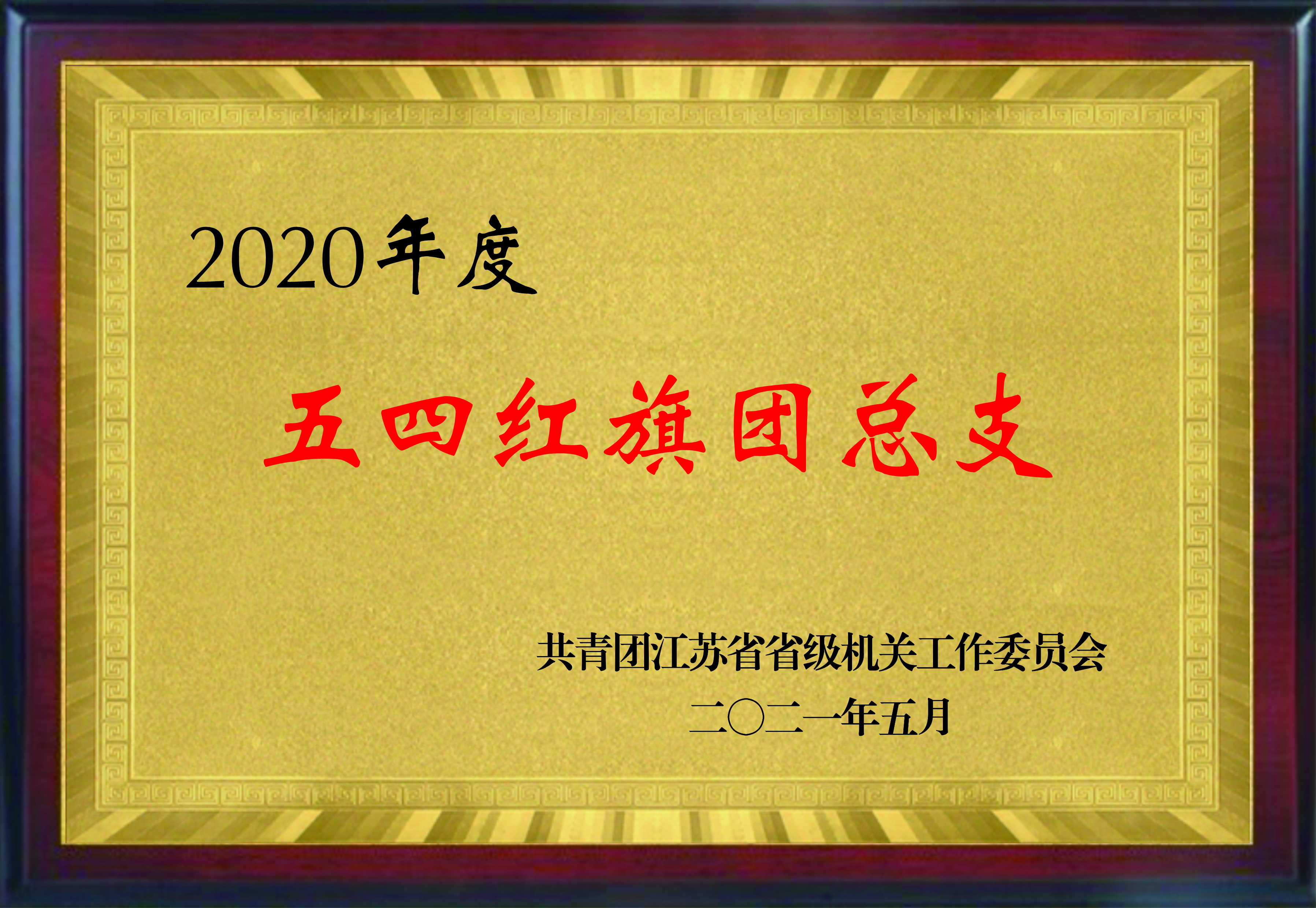 江苏省五四红旗团总支（2020年度）