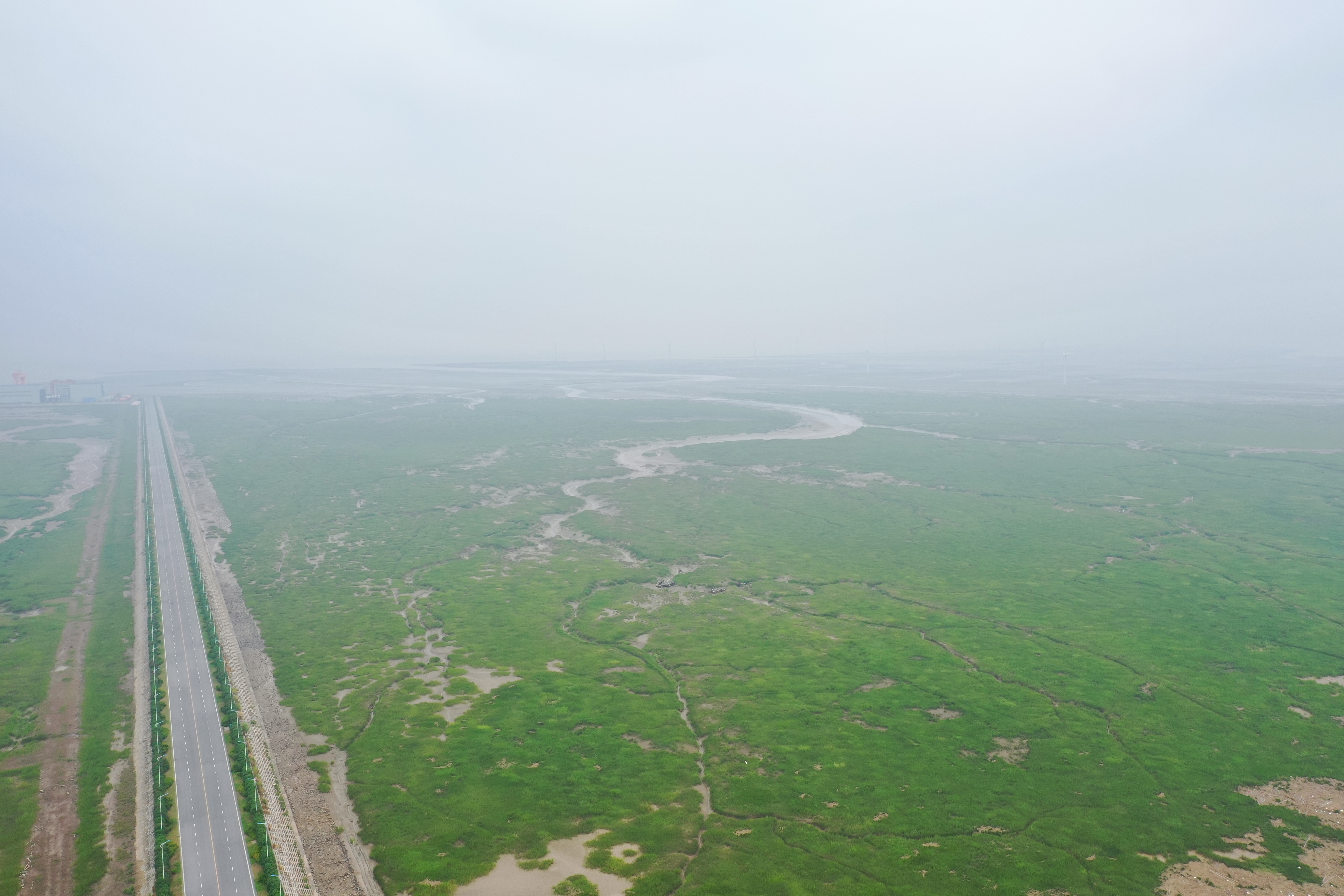 图1 除治前.JPG