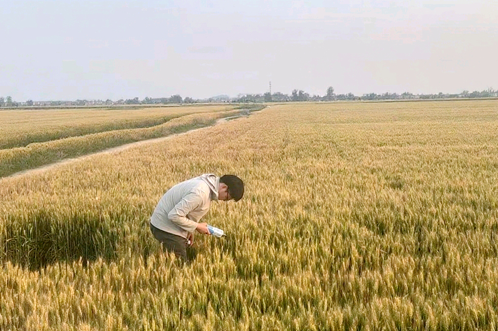 在徐州现场核验点位检测土壤电导率.jpg
